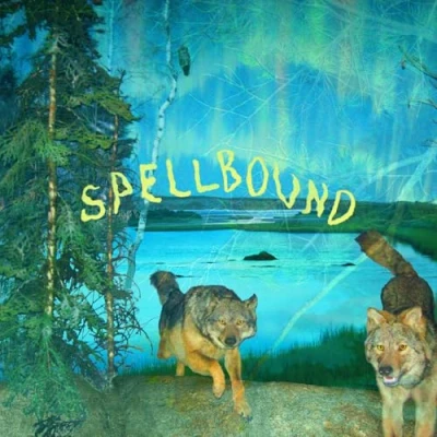 Afbeelding van Spellbound