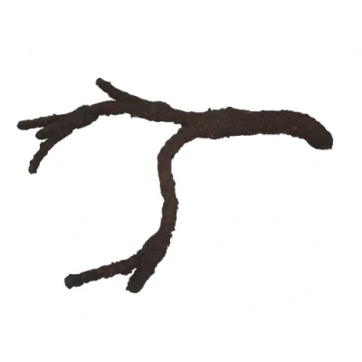 Afbeelding van Komodo Tropical Vine Branch small