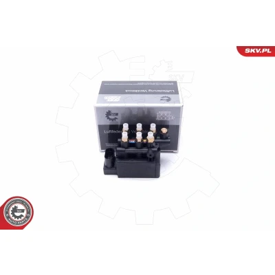 Afbeelding van Klep, pneumatisch systeem ESEN SKV 93SKV811