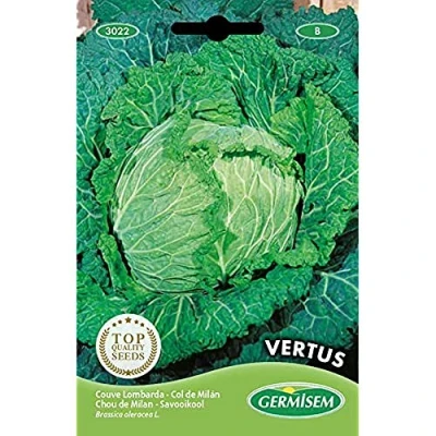 Afbeelding van Germisem Vertus Savoy Kool Zaden 3 g