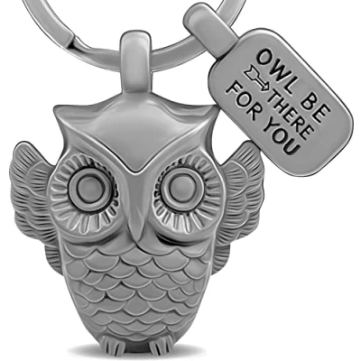 Afbeelding van LANOLU Sleutelhanger uil, uilen geschenken, moeder geschenk, geluksbrenger, vriendschap geschenken met gravure hanger uil Be There for You en 3D figuur van metaal, Vintage zilver., Small,