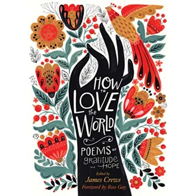 Afbeelding van How to Love the World: Poems of Gratitude and Hope
