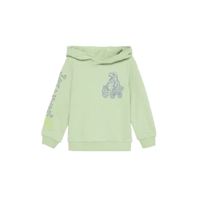 Afbeelding van s.Oliver MIT Front UND ÄRMEL Hoodie voor kinderen, Maat: 116/122, Salbeigrün