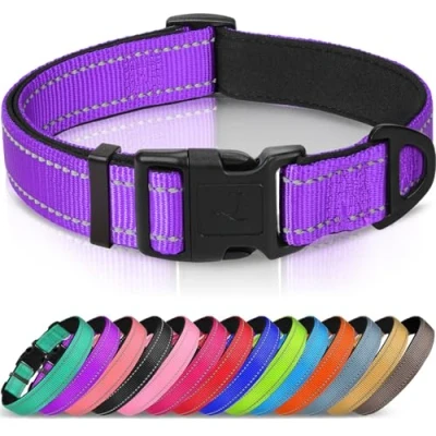 Afbeelding van Joytale Hondenhalsband met Veiligheidsgesp, Reflecterende Verstelbare Halsbanden Zachte Neopreen Vulling Huisdier, Veiligheidskraag voor Kleine Honden Huisdieren, XS, Paars