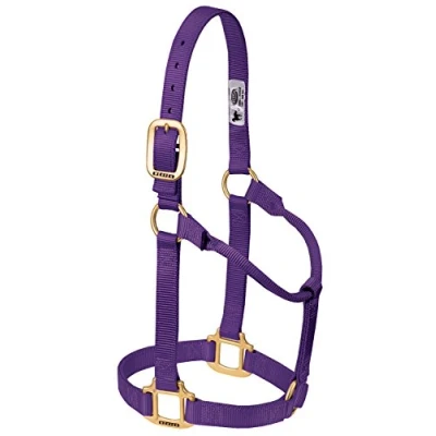 Afbeelding van Weaver Leather Originele niet verstelbare nylon paardenhalter, paars, jaarling