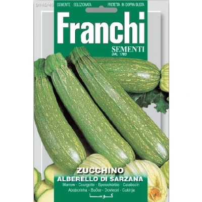 Afbeelding van Courgette, Zucchino Alberello Di Sarzana