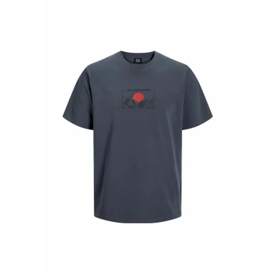 Afbeelding van R.D.D. Royal Denim Division Tshirt print, Heren, Maat: XL, Ombre blue