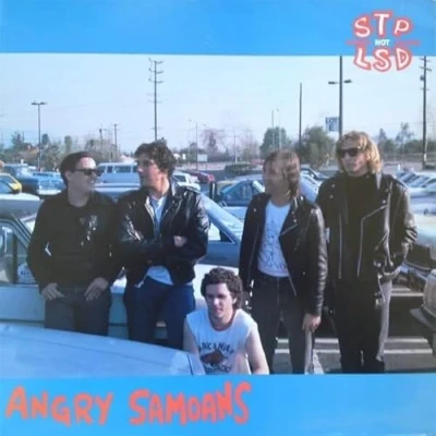 Afbeelding van Angry Samoans Stp Not Lsd (LP)