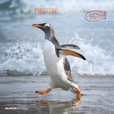 Afbeelding van Pinguine 2025 Broschürenkalender 30x30 cm (30x60 geöffnet) Kalender mit Platz für Notizen Penguins Bildkalender Wandplaner Wandkalender