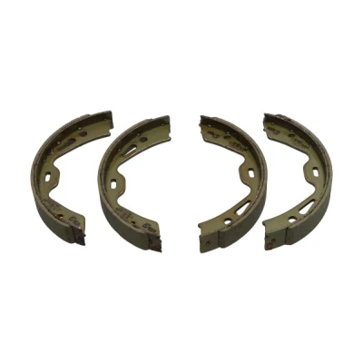Afbeelding van Kavo Parts Remschoen set KBS 10012