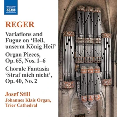 Afbeelding van Still Organ Works Volume 9 (CD)