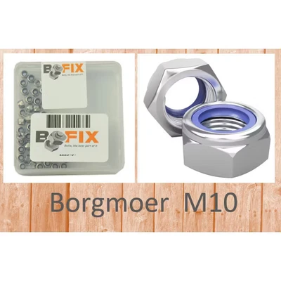 Afbeelding van Bofix Borgmoer M10 verzinkt (25st)