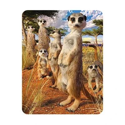 Afbeelding van 3D LiveLife Magneet Stokstaartje Blik van Deluxebase. Lenticulaire Safari Koelkastmagneet. Magnetisch decor voor kinderen en volwassenen met kunstwerk de bekende kunstenaar David Penfound