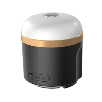 Afbeelding van ECOFLOW 600545 Campinglamp LED 400 lm werkt op een accu 0.344 kg