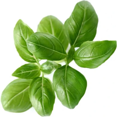 Afbeelding van Click And Grow navulling Basilicum
