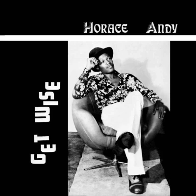 Afbeelding van Horace Andy Get Wise (LP)