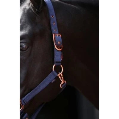 Afbeelding van Halster classy marine veulen/shetland
