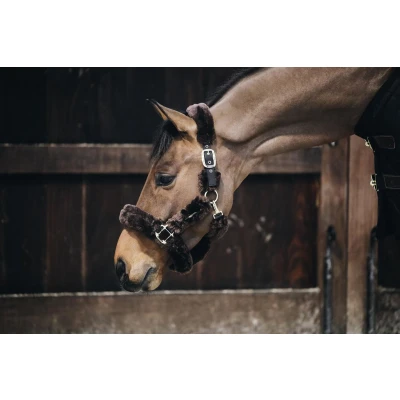 Afbeelding van Kentucky Horsewear Halster Wol Bruin Paard