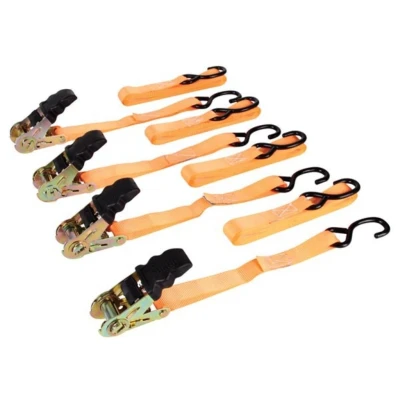 Afbeelding van Set met spanbanden 5 meter 500kg 4 stuks 
