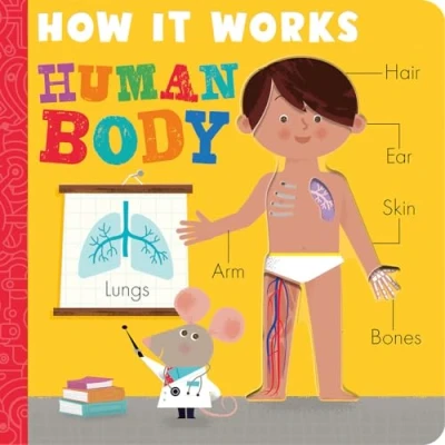 Afbeelding van How it Works Works: Human Body