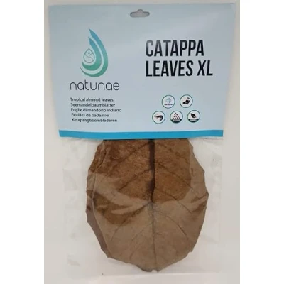 Afbeelding van Catappa Bladeren Zeemandelboombladeren XL voor Aquarium, 10 stuks