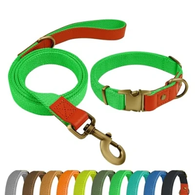 Afbeelding van Qianruida hondenhalsband en riem, set voor honden, halsband verstelbare kleine, middelgrote grote neongroen, XL