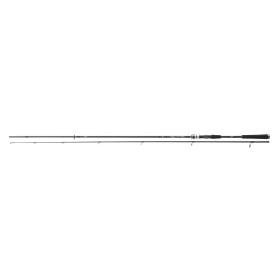 Afbeelding van Daiwa Exceler Jigger Spinhengel 2023 3.05m (5 25g)