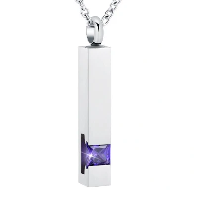 Afbeelding van Luxe Ashanger Met Ketting Assieraad Zilverkleurig Paarse Steen As Gedenksieraad Urn Incl. vuller