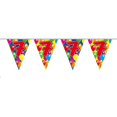 Afbeelding van Vlaggenlijn 7 jaar 10 meter Vlaggenlijnen