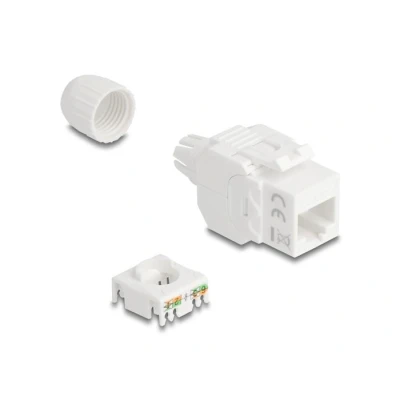 Afbeelding van Delock Keystone Module RJ45 jack to LSA Cat.6A UTP 180 toolfree with cable gland