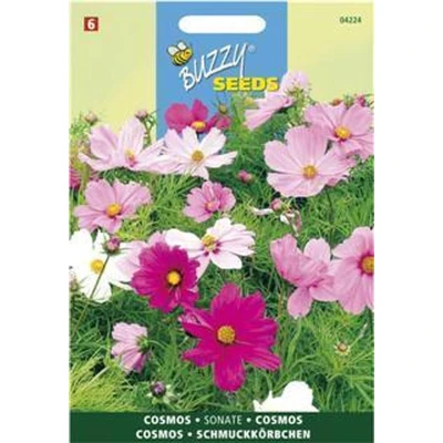 Afbeelding van Cosmos, Cosmea Dwarf Sensation