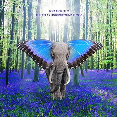 Afbeelding van The Atlas Underground Flood