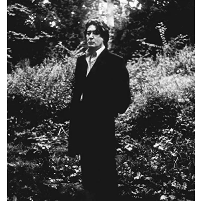 Afbeelding van Alain Bashung L&#039;imprudence (2 LPs)