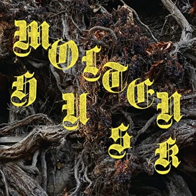 Afbeelding van Abest Molten Husk (LP)