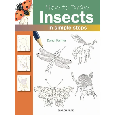 Afbeelding van How To Draw Insects In Simple Steps