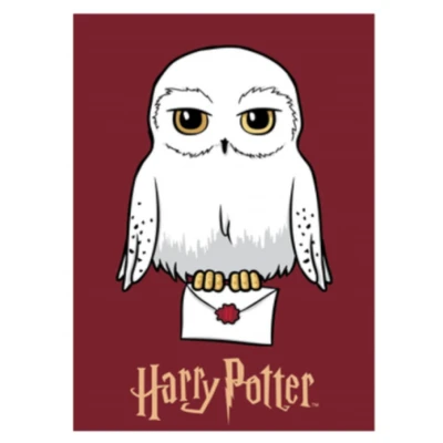 Afbeelding van Harry Potter Fleece deken Plaid Hedwig 100 x 140 cm Polyester