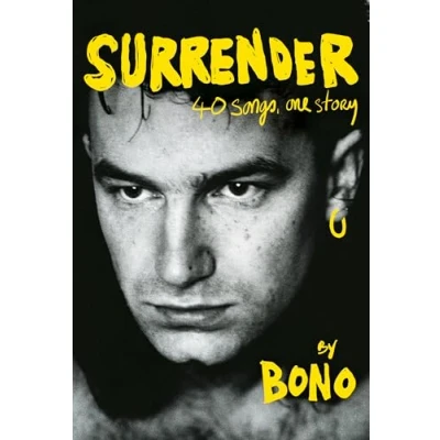 Afbeelding van Surrender: 40 Songs, One Story
