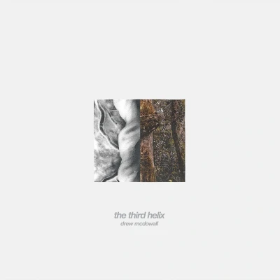 Afbeelding van Drew McDowall Third Helix (LP)