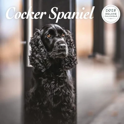 Afbeelding van Cocker Spaniel 2025 Deluxe Kalender