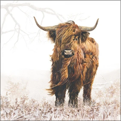 Afbeelding van Ambiente Servet 33cm Highlander 20 stuks