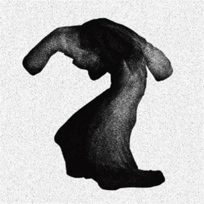 Afbeelding van Yeasayer Fragrant World (LP)