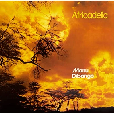 Afbeelding van Manu Dibango Africadelic (LP)