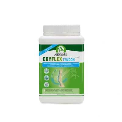Afbeelding van Audevard Ekyflex Tendon EVO 900 gram