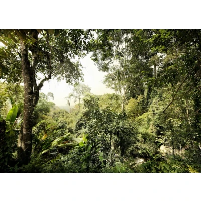 Afbeelding van Komar Vliesbehang Junglekleur 350x250 cm (breedte x hoogte)