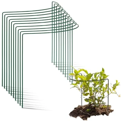 Afbeelding van Novatool 10 struiksteunen, halfrond, 40 cm, Ø 50 cm hoog, groen, plantenhouder, plantensteun, vaste steun, klimhulp, struikhouder, rozensteun