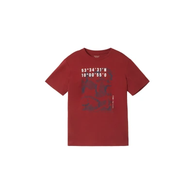 Afbeelding van TOM TAILOR Heren T shirt, 13721, bordeauxrood, L