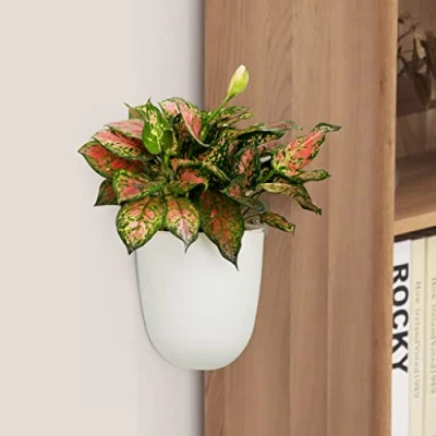 Afbeelding van Set van 2 hoekvormige wandgemonteerde hangende plantenbak, zelfbewaterende driehoek plastic bloempot, decoratieve moderne plantenvaas, containerhouder voor succulent binnen, buiten, thuiskantoor,