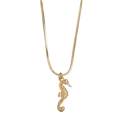 Afbeelding van Marama ketting Zeepaardje Goud stainless steel gold plated verstelbaar damesketting nikkelvrij subtiele zomer