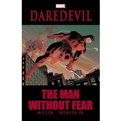 Afbeelding van Daredevil : the man without fear