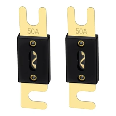 Afbeelding van Heschen ANL Fuse 50 Amp voor auto voertuigen audiosysteem blad goud toon &amp; zwart 2 Pack